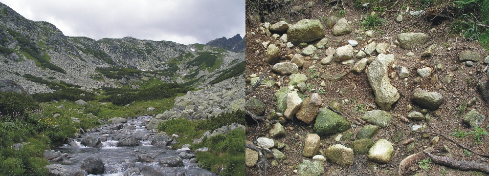 High Tatras