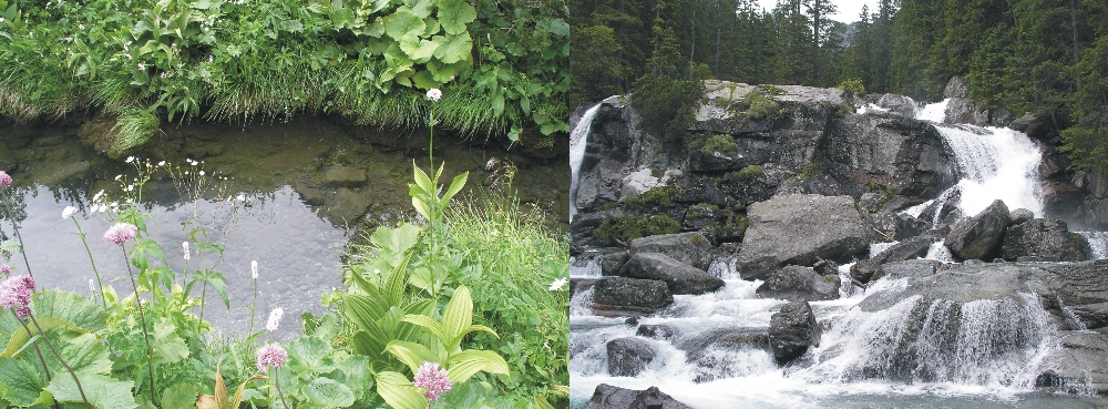 High Tatras